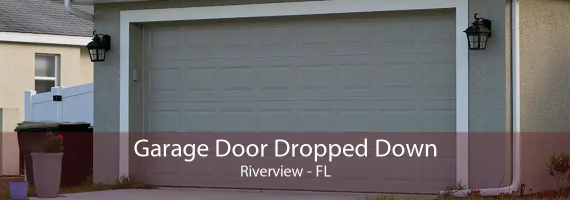 Garage Door Dropped Down Riverview - FL