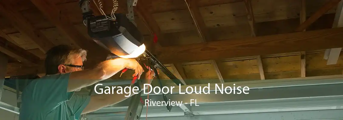 Garage Door Loud Noise Riverview - FL