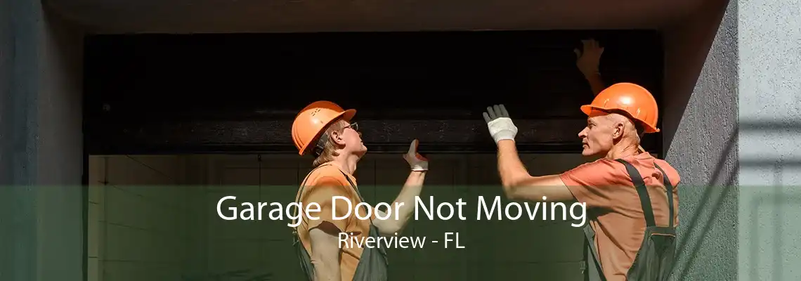 Garage Door Not Moving Riverview - FL