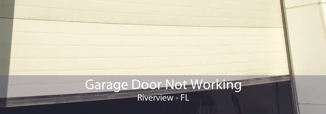 Garage Door Not Working Riverview - FL