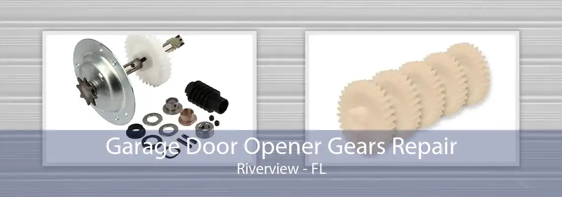 Garage Door Opener Gears Repair Riverview - FL