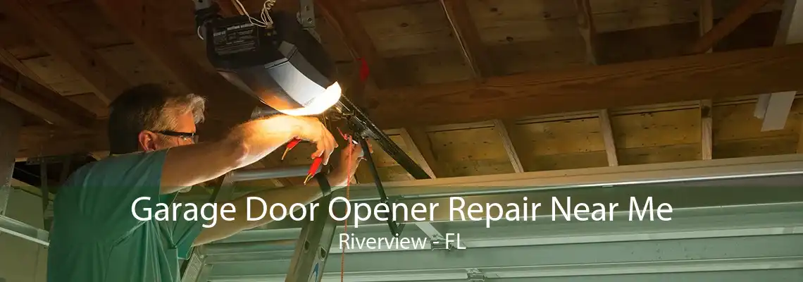 Garage Door Opener Repair Near Me Riverview - FL