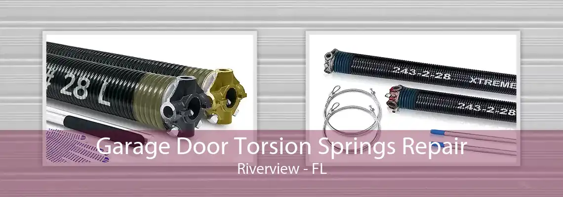 Garage Door Torsion Springs Repair Riverview - FL