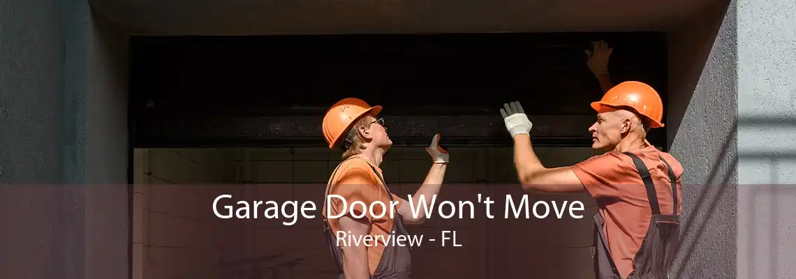 Garage Door Won't Move Riverview - FL