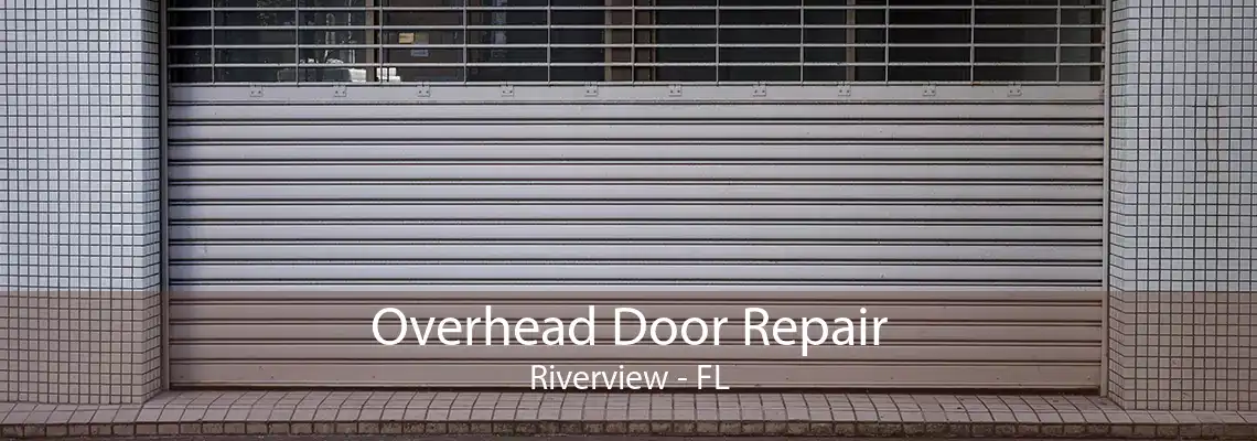 Overhead Door Repair Riverview - FL